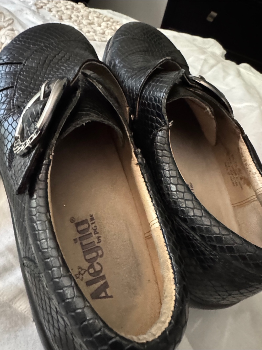 Alegria Black Leather Slip-On Loafers with Silver Buckle - Picture 4 of 7